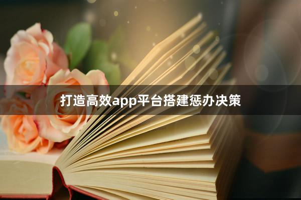 打造高效app平台搭建惩办决策