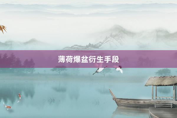 薄荷爆盆衍生手段