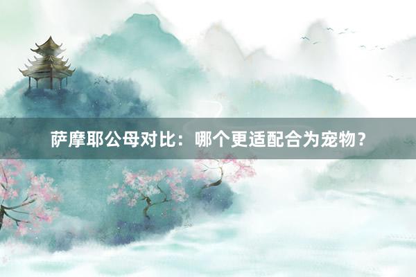萨摩耶公母对比:哪个更适配合为宠物?